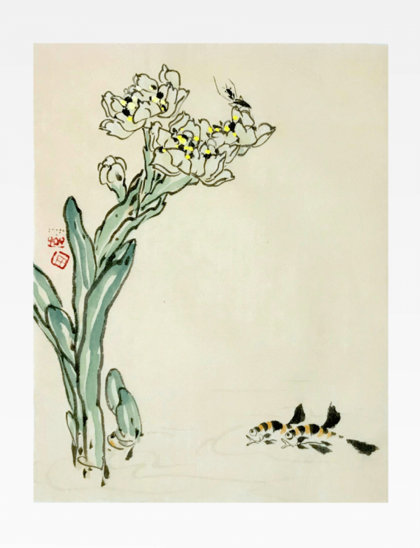 Narcissistic Flower 水仙华