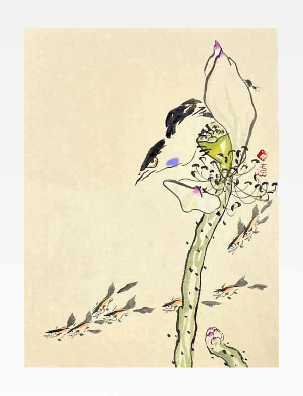 荷花小鱼